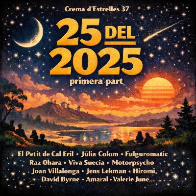 37- 25 del 2025 (primera part)