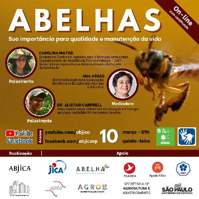 Abelhas - Sua importância para a qualidade e manutenção da vida Abelhas - Sua importância para a qualidade e manutenção da vida