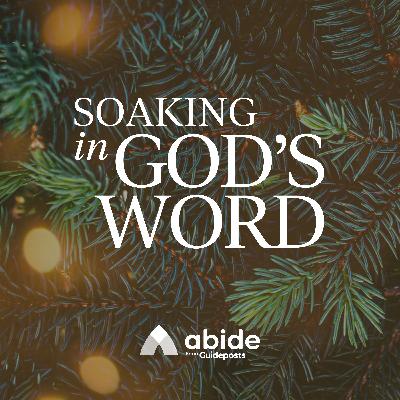 Soaking In God's Word