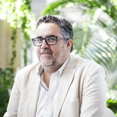 João Casaca, da Federação Nacional dos Apicultores: “É mais difícil as abelhas desaparecerem da face da Terra pois são protegidas pelos apicultores”