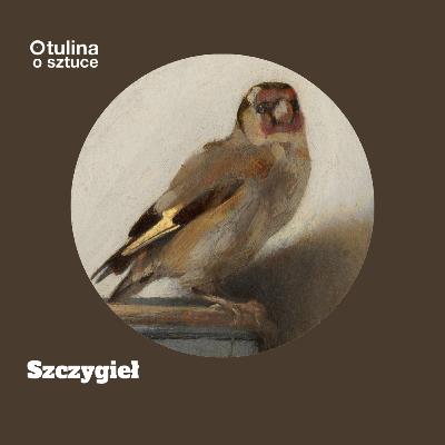 Szczygieł Carela Fabritiusa | s03 e30
