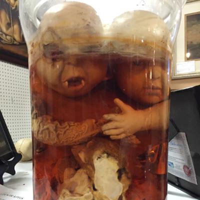 Glore asylum part 2 Glore asylum part 2