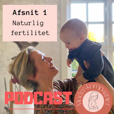 Holistisk fertilitet