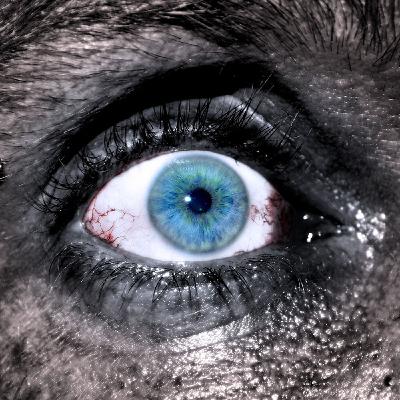 Episode #1: The Attic Resident Episode #1: The Attic Resident