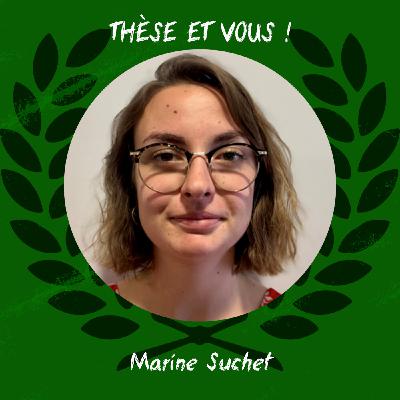 TEV66 - ÉCOTOXICOLOGIE : Quand la truite croise un perturbateur endocrinien (miam) TEV66 - ÉCOTOXICOLOGIE : Quand la truite croise un perturbateur endocrinien (miam)
