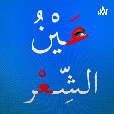 الحلقة الثالثة: عين الشعر على القصة
