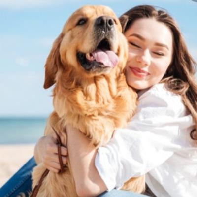¿FELICIDAD?, ¡EL PERRO NO HA MUERTO!. ¿FELICIDAD?, ¡EL PERRO NO HA MUERTO!.