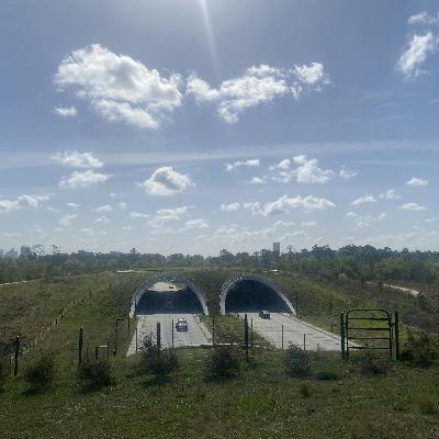Why Elon Musk Wants $760 Million To Dig Tunnels Under Houston