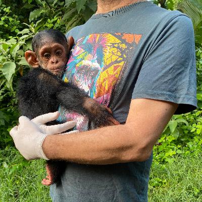 De compras en medio de la guerra!!!! De compras en medio de la guerra!!!!
