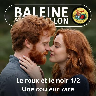 S07E97 Le roux et le noir 1/2 : Une couleur rare... et longtemps maudite