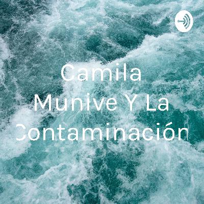 El planeta y la contaminación.