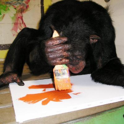 El amiguitoy no quiere más Jammer El amiguitoy no quiere más Jammer