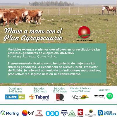 Empresas ganaderas. Sistemas ganaderos. Herramientas para la toma de decisiones.