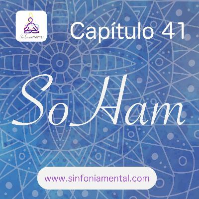 Fase IX - Capítulo 41: So Ham