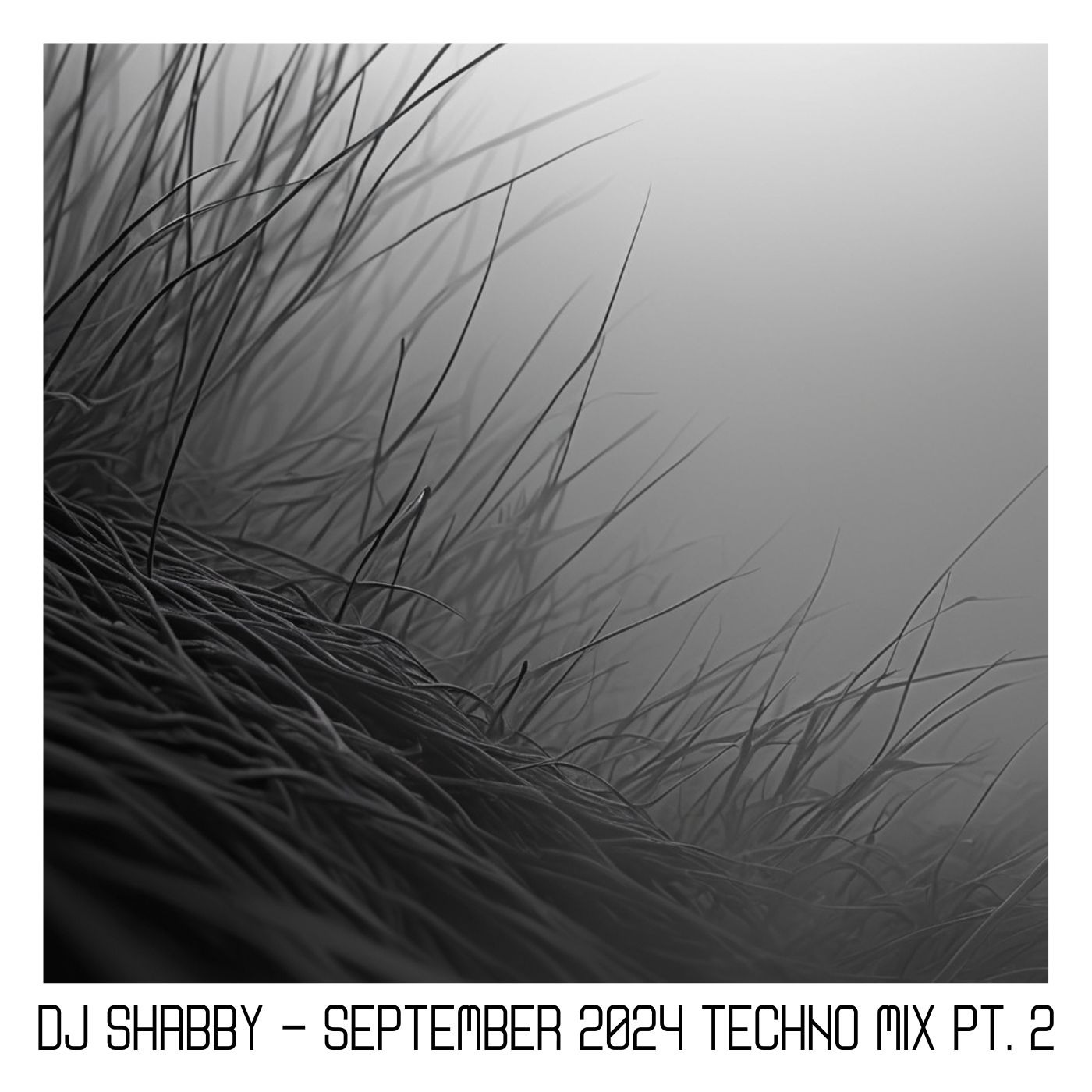 dj Shabby - September 2024 Techno Mix pt. 2 episode artwork