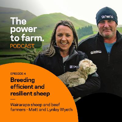 Episode 4: Breeding efficient and resilient sheep