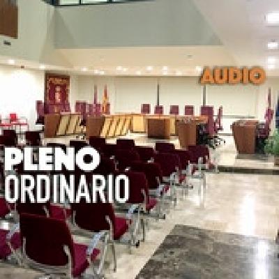 Audio del Pleno Extraordinario del mes de julio 2025 Audio del Pleno Extraordinario del mes de julio 2025
