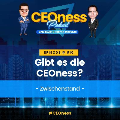 Gibt es die CEOness? - Ein Zwischenstand Gibt es die CEOness? - Ein Zwischenstand