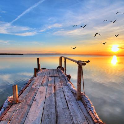 Stillness and soul soothing!