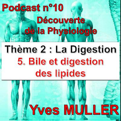 10. Bile et digestion des lipides