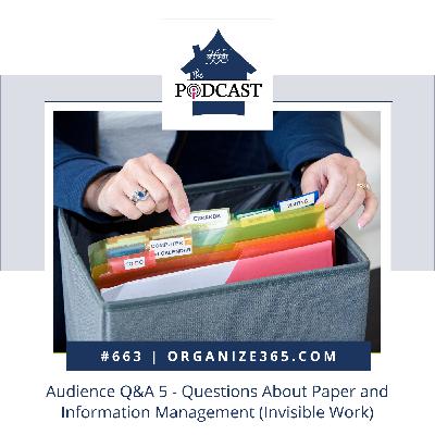663 - Audience Q&A 5 - Paper Information Management (Invisible Work)