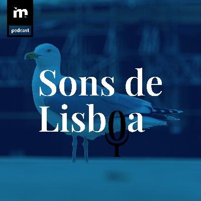 Gaivotas em terra, tempestade no mar... problemas em Lisboa EP07