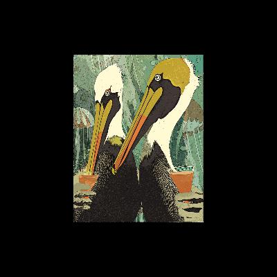 The Pelican Brief