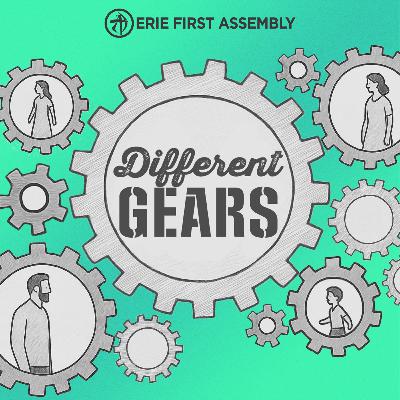 DIFFERENT GEARS - Getting in Sync