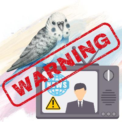 S2 E32 A Gentle Reminder About Safety In The Home