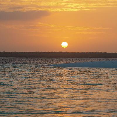 Visión sin límites