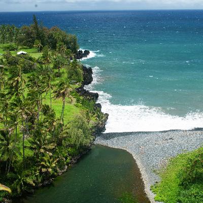 Necesidades insatisfechas