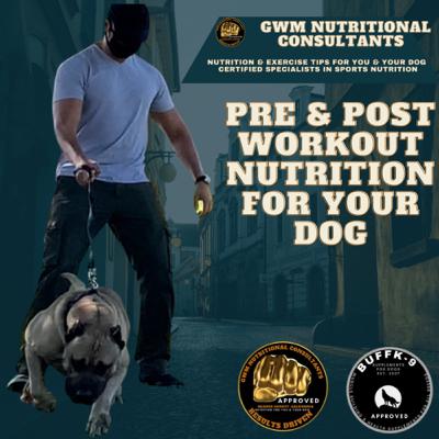 Pre & post workout nutrition for your dog! Pre & post workout nutrition for your dog!