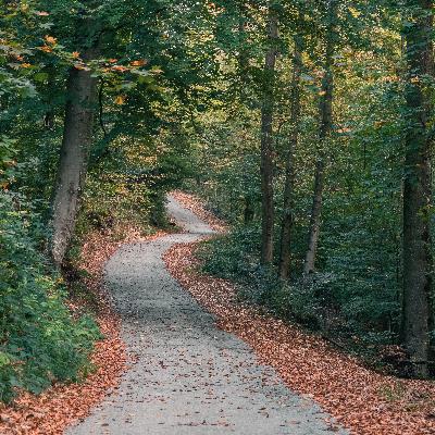 Where to go Hiking in Salzburg City?