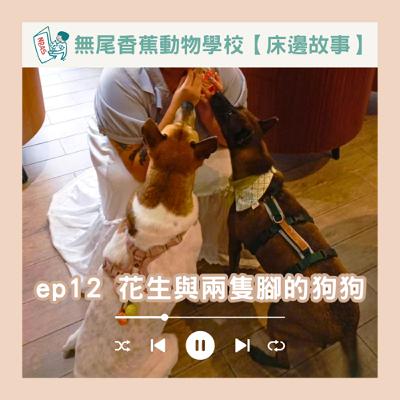 【床邊故事】EP12 花生與兩隻腳的狗狗