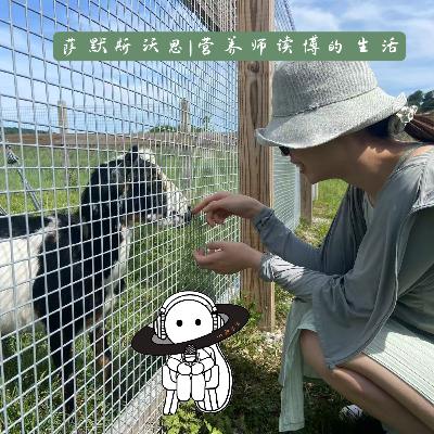 91: 萨默斯沃思|营养师读博的生活 91: 萨默斯沃思|营养师读博的生活