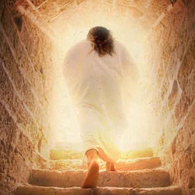 Ensemble En Chemin - Épisode Final - IL EST VIVANT ! Ensemble En Chemin - Épisode Final - IL EST VIVANT !