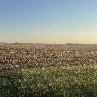 VCF News: Harvest has been Very Busy; Much More to Do
