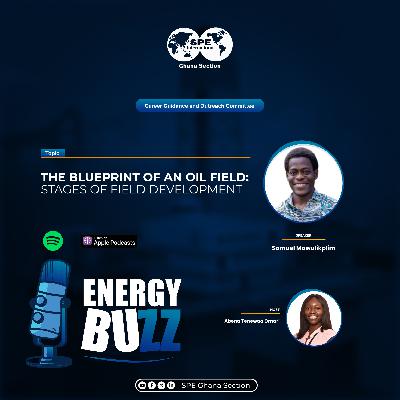 The Blueprint of an Oil Field: Stages of Field Development The Blueprint of an Oil Field: Stages of Field Development