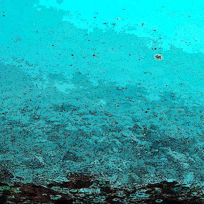 The sea Inside