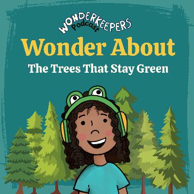 Wonder About â The Trees That Stay Green Wonder About â The Trees That Stay Green