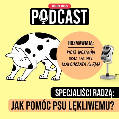 #10 – Jak pomóc psu lękliwemu? | Rozmowa behawiorysty i lekarza weterynarii