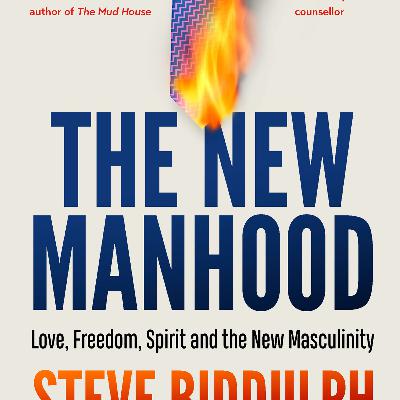 The New Manhood: A Guide to the New Masculinity — The System Behind the Masculinity Crisis