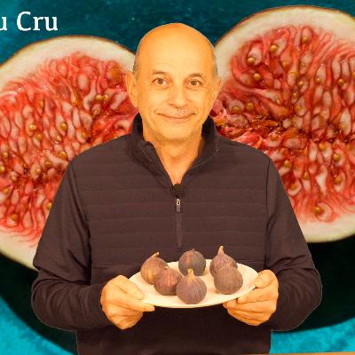 POURQUOI MANGER DES FIGUES ? BIENFAITS ET CONSEILS [2024]