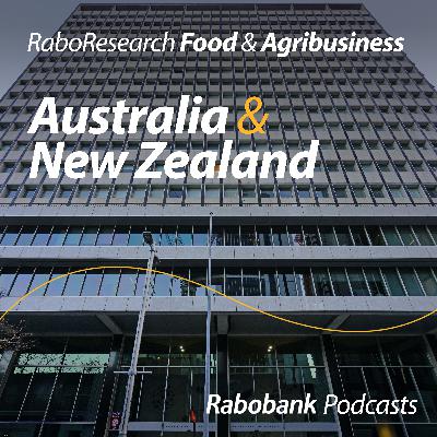 No more cuts? Reviewing the Reserve Bank of Australia's November decision