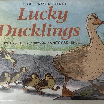 “Lucky Ducklings” by Eva Moore and illustrated by Nancy Carpenter