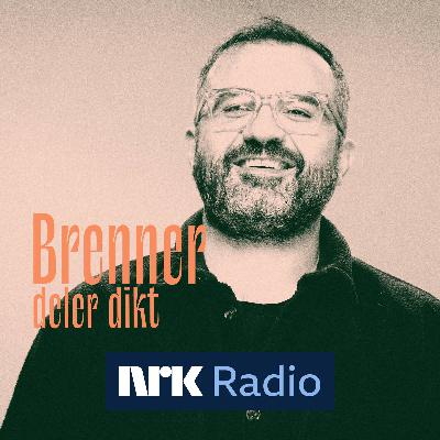 Galvan Mehidi : Diktet traff som en murstein