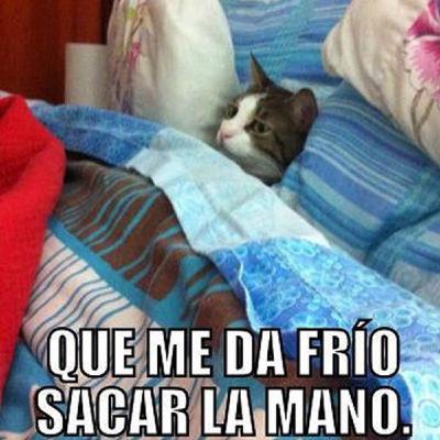 Enfrentar el FRÍÍÍOOOOOO Enfrentar el FRÍÍÍOOOOOO