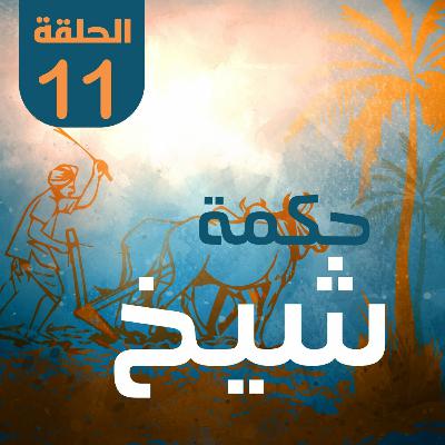 حكمة شيخ