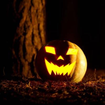 Halloween: From Ancient Veil to Modern Market Halloween: From Ancient Veil to Modern Market