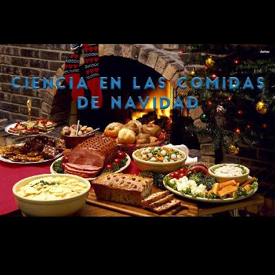 Ciencia en las comidas de Navidad (27-12-2016) Ciencia en las comidas de Navidad (27-12-2016)